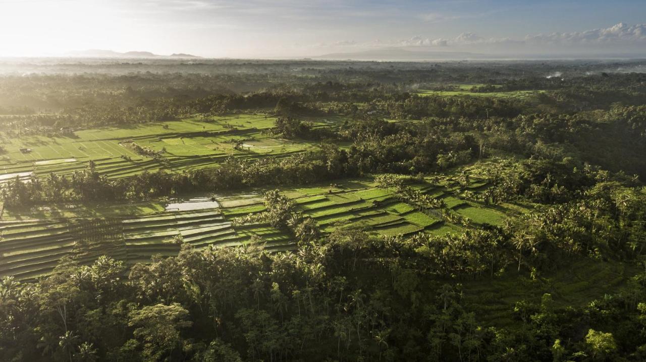 Como Shambhala Estate Payangan Buitenkant foto