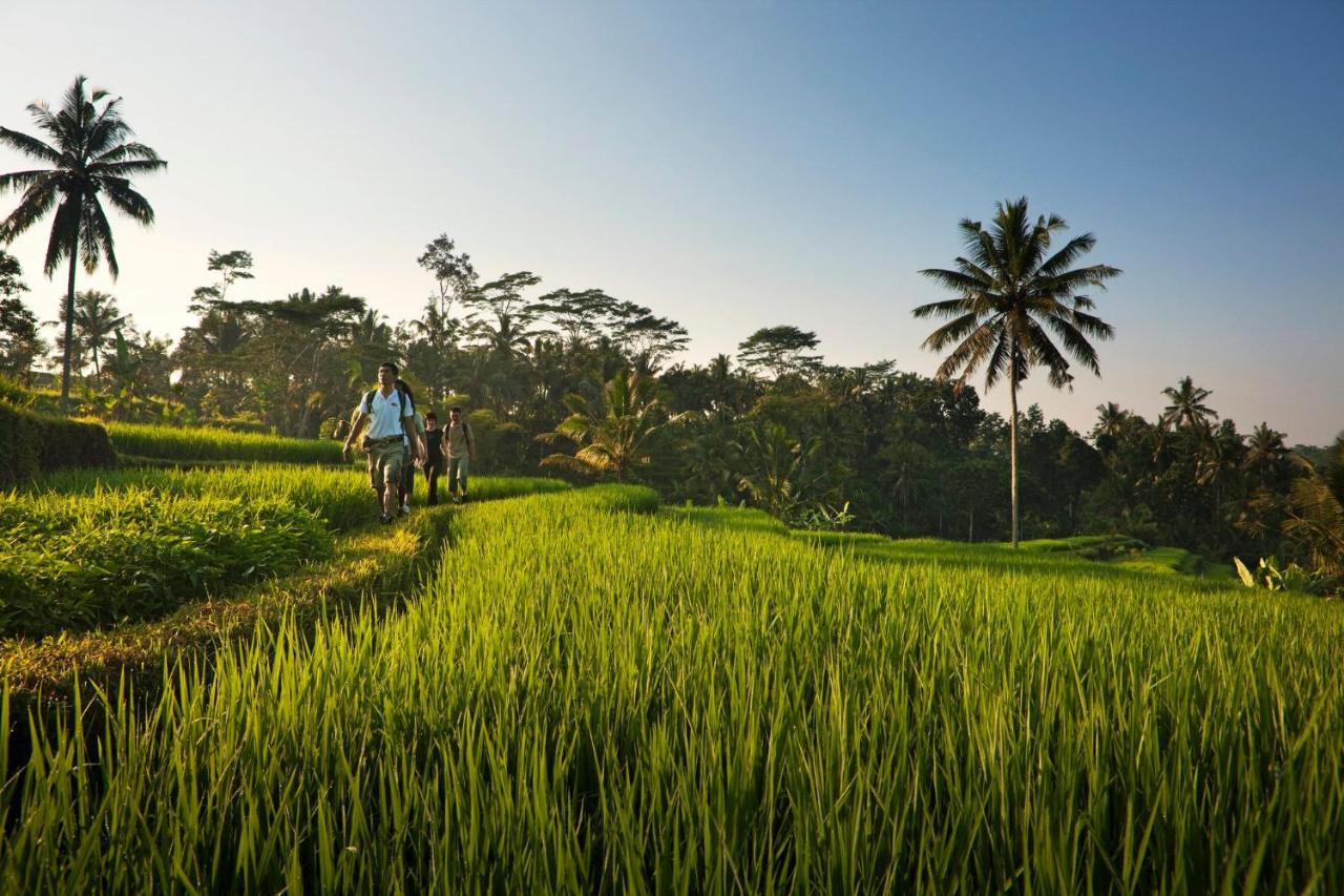Como Shambhala Estate Payangan Buitenkant foto