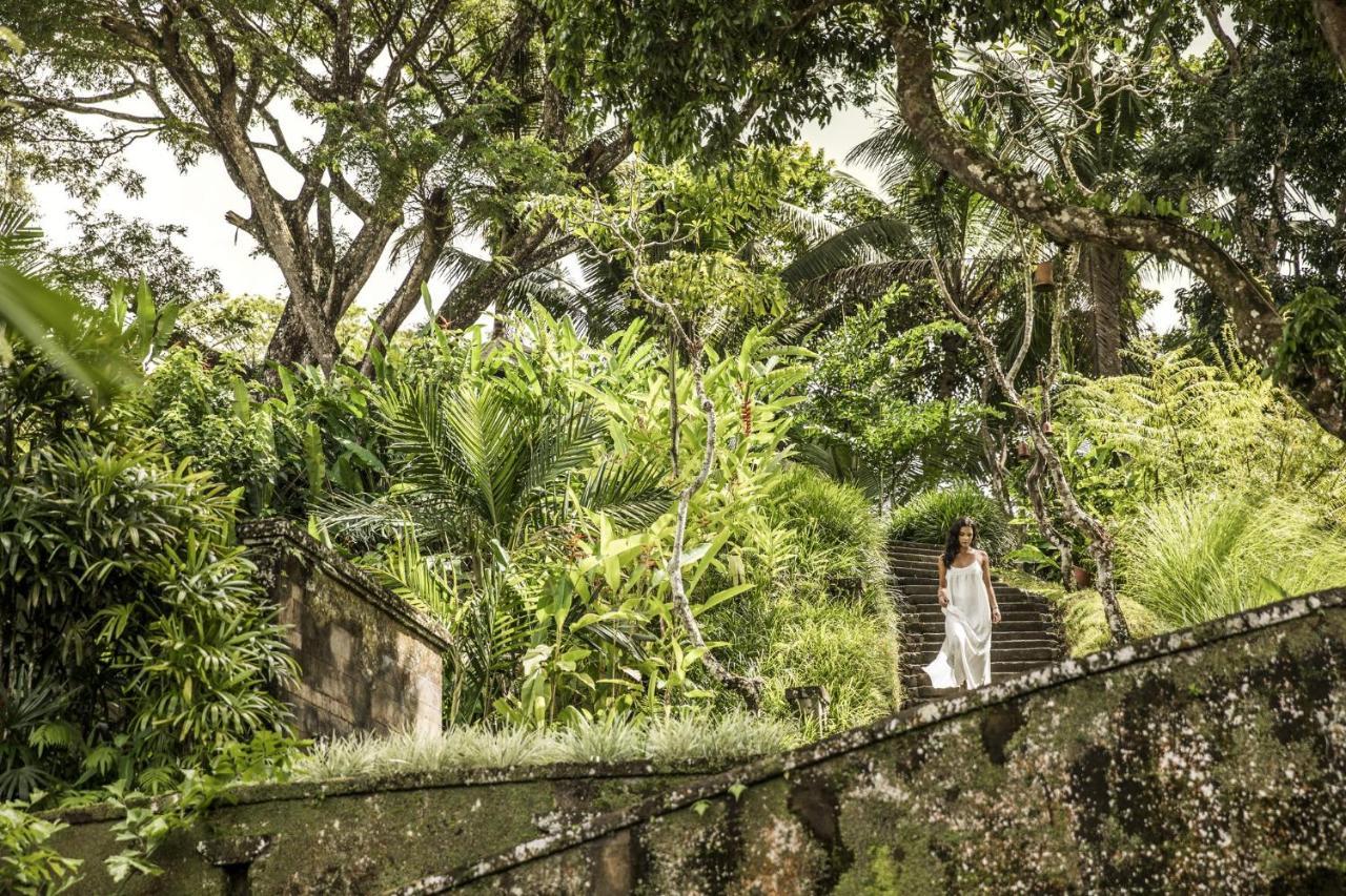 Como Shambhala Estate Payangan Buitenkant foto
