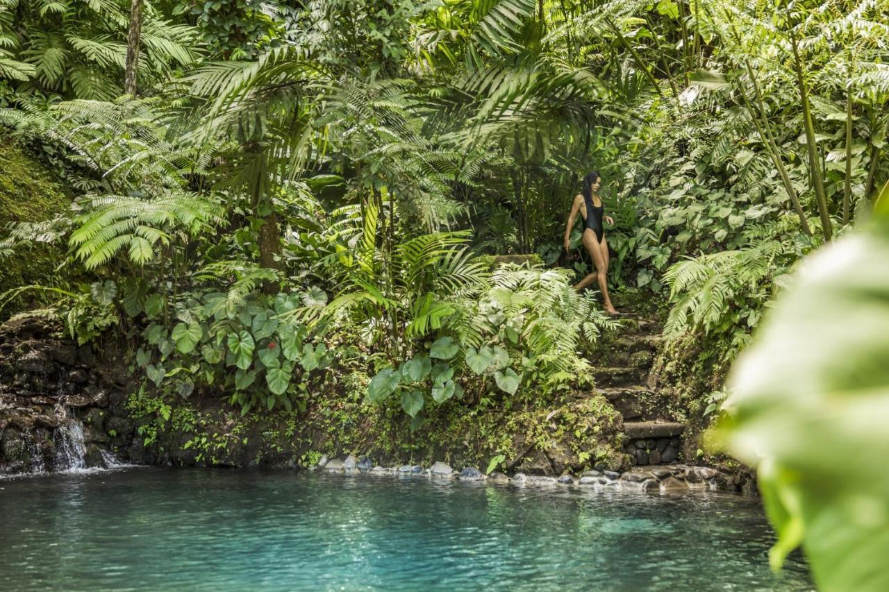 Como Shambhala Estate Payangan Buitenkant foto